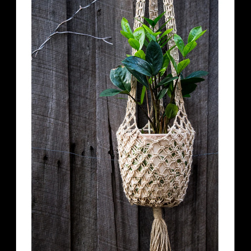Jute Plant Hangers sample photo 1
